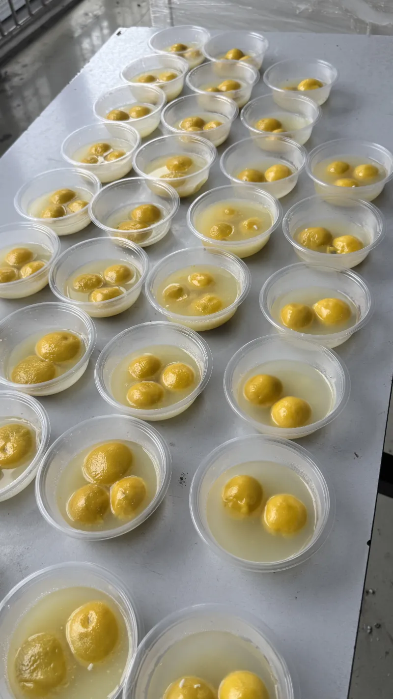 เทศกาลโคมไฟนำความอบอุ่นของครอบครัวมาสู่ชาว SHUAIRUI